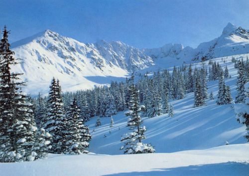 Tatry - Dolina Gąsienicowa