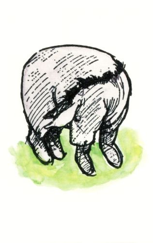 Kubuś Puchatek