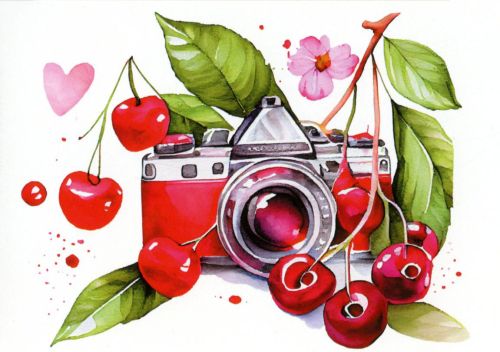 Camera