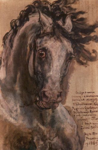 Matejko Jan - Studium konia Wielkiego Księcia Witolda do obrazu "Bitwa pod Grunwaldem"