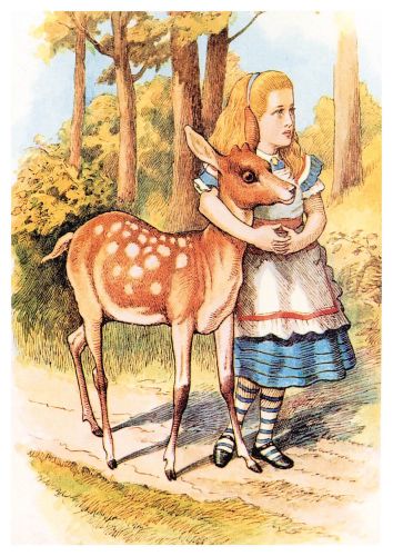 Alicja w Krainie Czarów