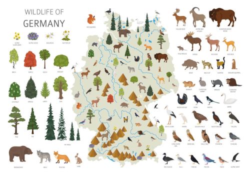 Wildlife of Germany