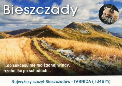Bieszczady - Tarnica