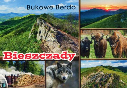 Bieszczady - Bukowe Berdo