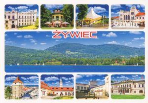 Żywiec