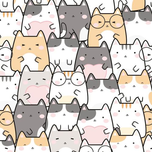 Koty Kawaii