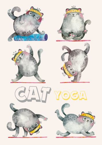 Cat Yoga