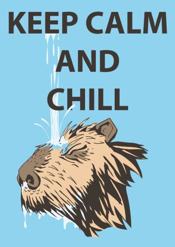 Keep Calm and Chill