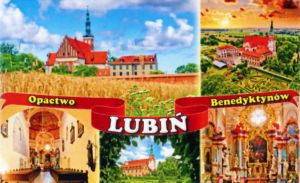Magnes: Lubiń