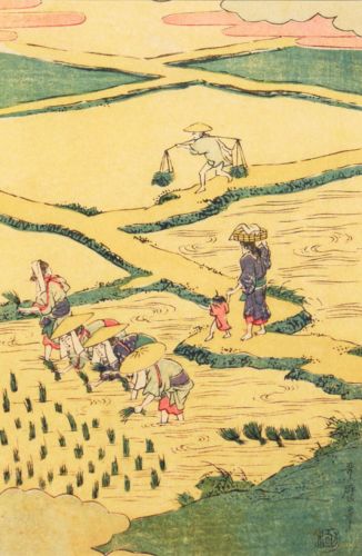 Utamaro Kitagawa - Sadzenie ryżu