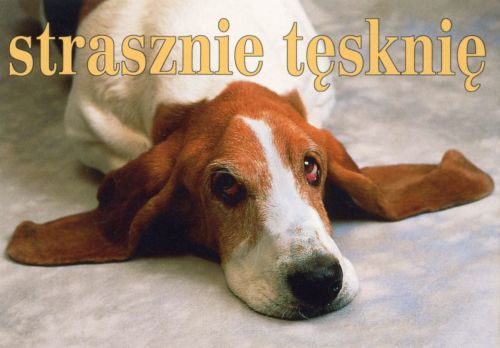 Strasznie tęsknię