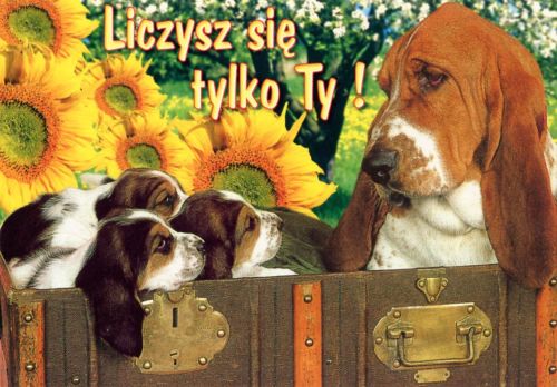 Liczysz się tylko Ty!
