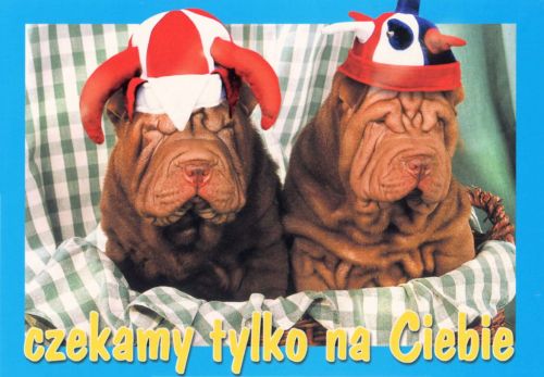 Czekamy tylko na Ciebie