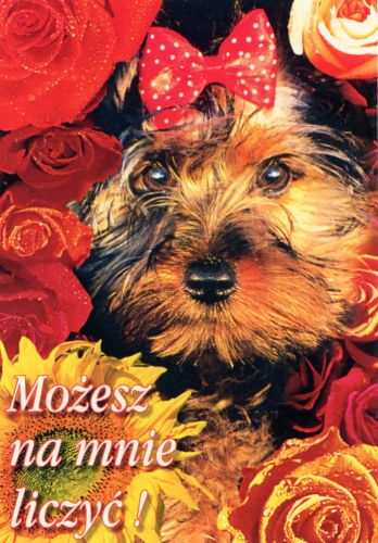 Możesz na mnie liczyć!