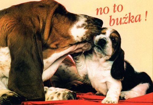 No to buźka!
