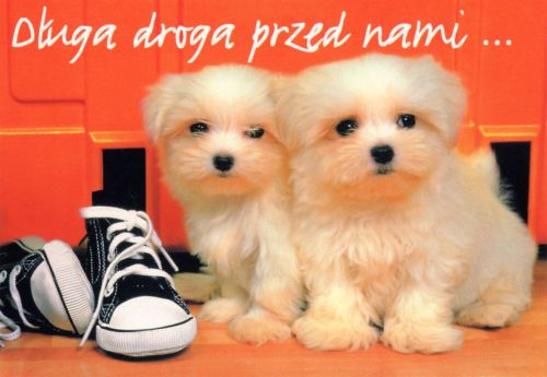 Długa droga przed nami