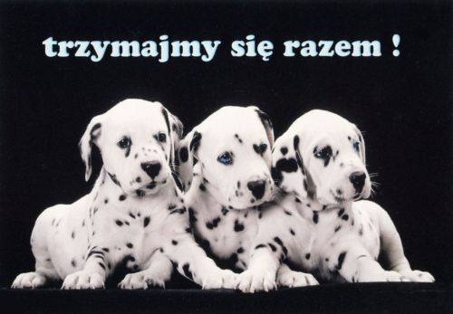 Trzymajmy się razem!