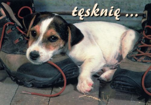 Tęsknię...
