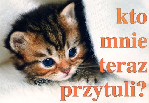Kto mnie teraz przytuli?