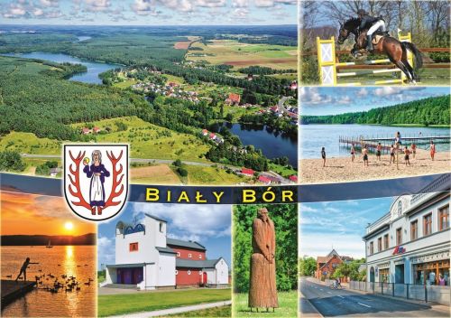 Biały Bór