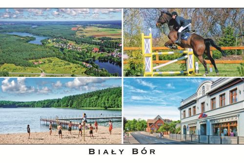 Biały Bór