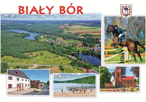 Biały Bór