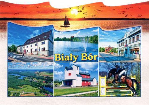 Biały Bór