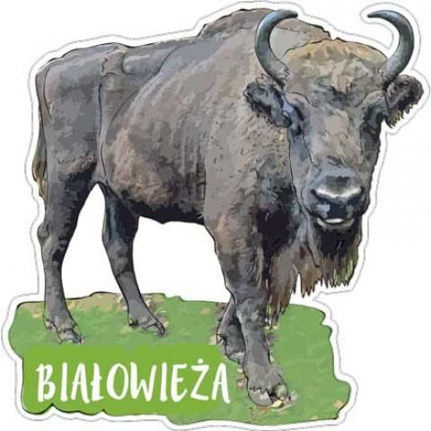 Magnes: Białowieża