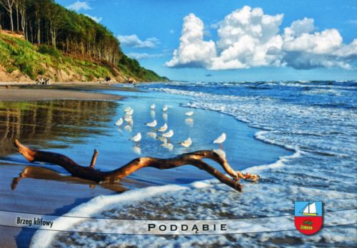 Poddąbie
