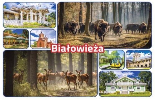 Białowieża