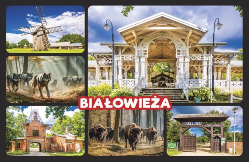 Białowieża