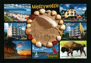 Międzywodzie