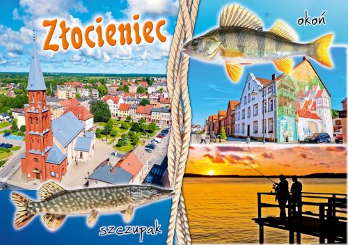 Złocieniec