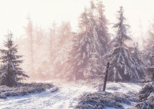 Zima na Wielkiej Raczy