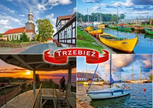 Trzebież