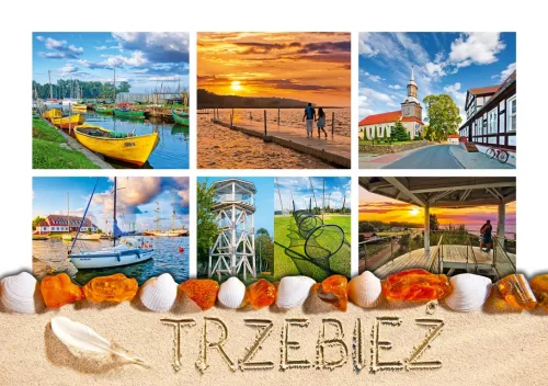 Trzebież