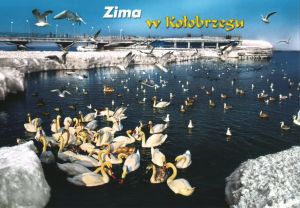 Kołobrzeg