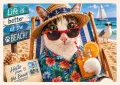 Better Life by a Cat