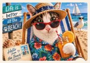 Better Life by a Cat