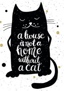 A house is not a home without a cat