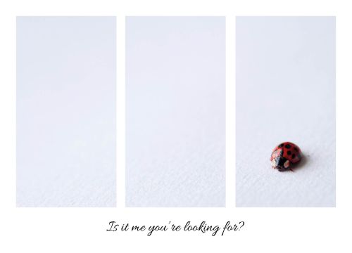 Is it me you're looking for?