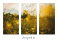 Sunny side up
